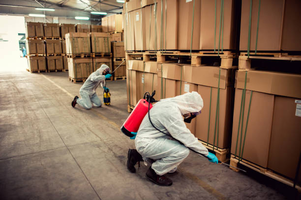 Best Pest Control Near Me  in East Bakersfield, CA