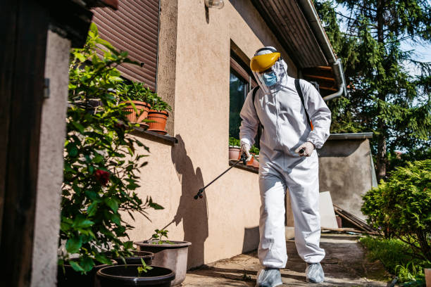 Best Emergency Pest Control  in East Bakersfield, CA