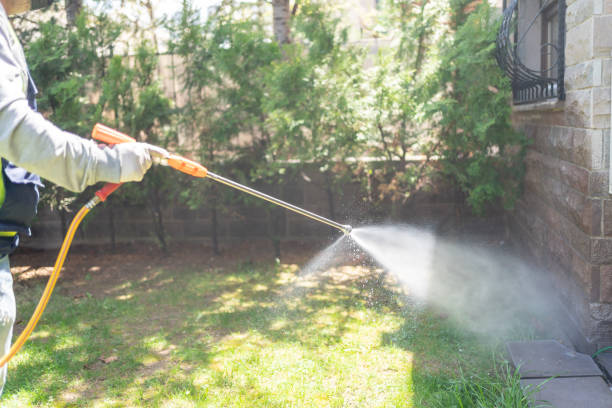Best Flea Control Services  in East Bakersfield, CA
