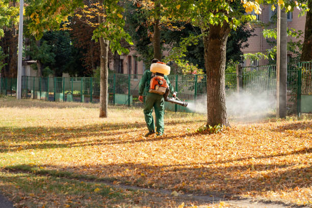 Best Spider Control Near Me  in East Bakersfield, CA