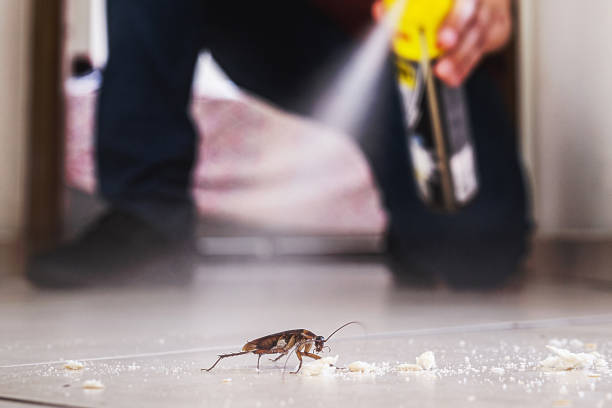 Trusted East Bakersfield, CA Pest Control Experts