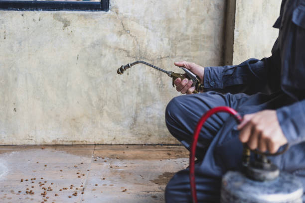 Best Pest Removal Services  in East Bakersfield, CA
